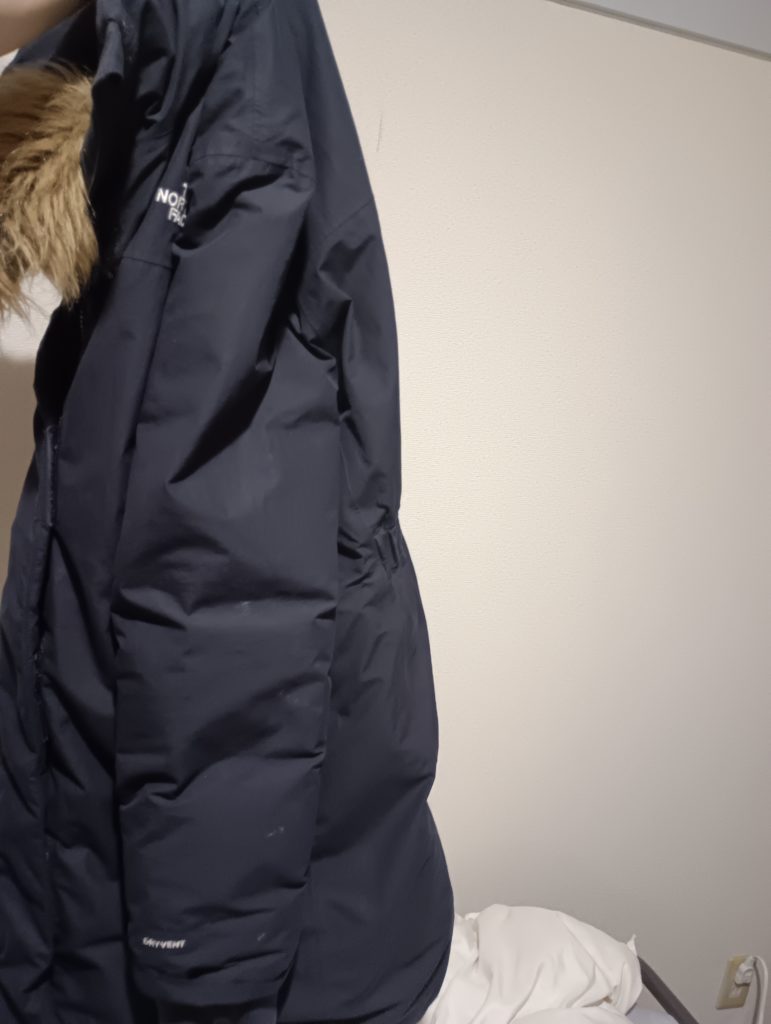 ノースフェイスダウン クリーニング前 左側面